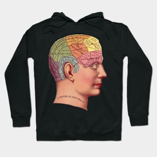 A picture of good health, Image of brian Biology Hoodie